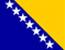 Bosna zastava