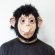 Maska Šimpanze
