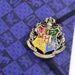 Hogwarts HP Dnevnik