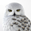 Hedwig Figura