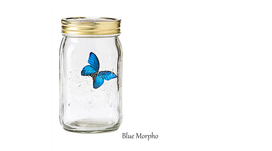 Blue Morpho leptir u tegli