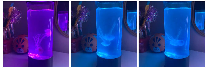 Meduza lampa